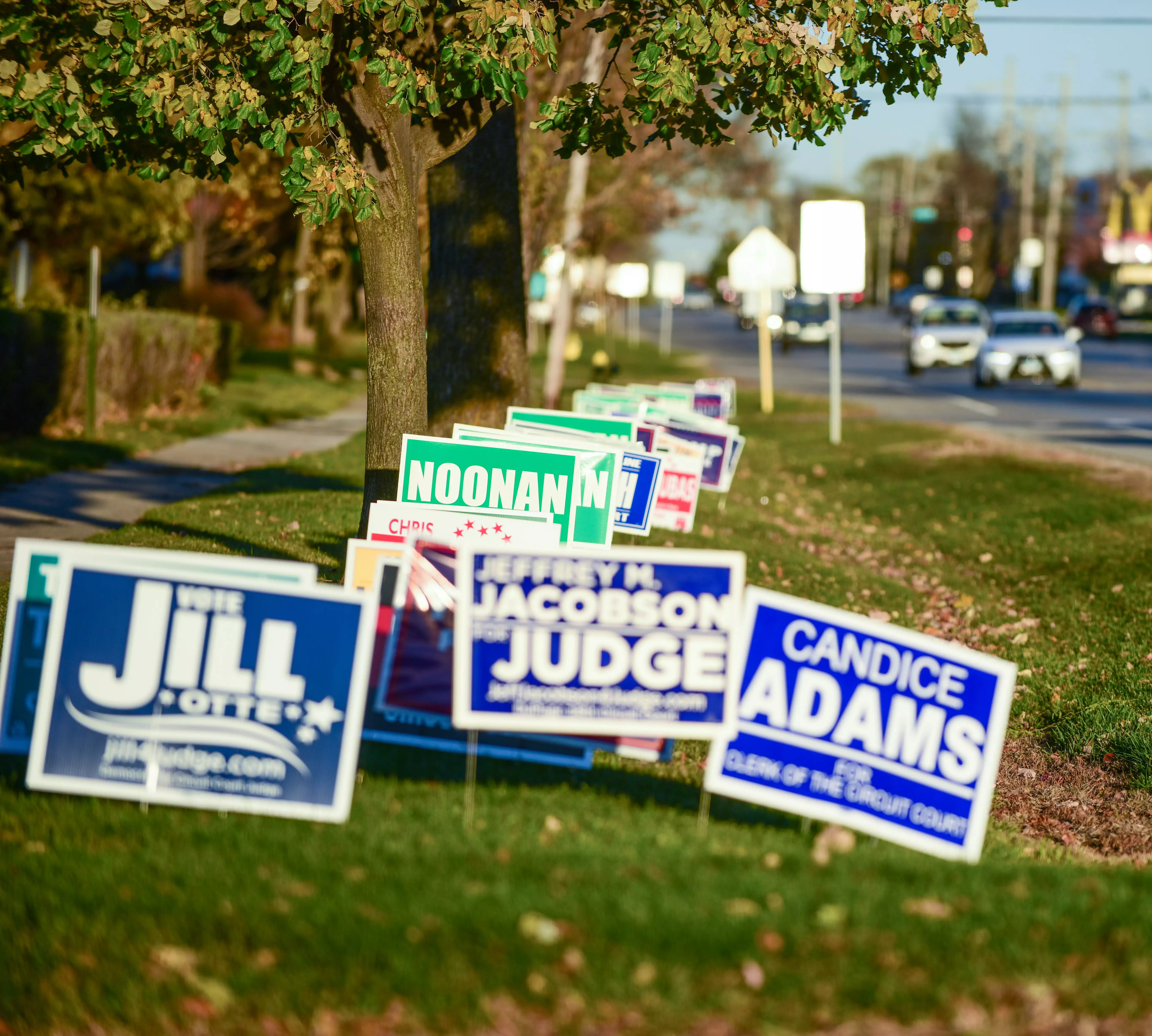 Political yard signs on a lawn